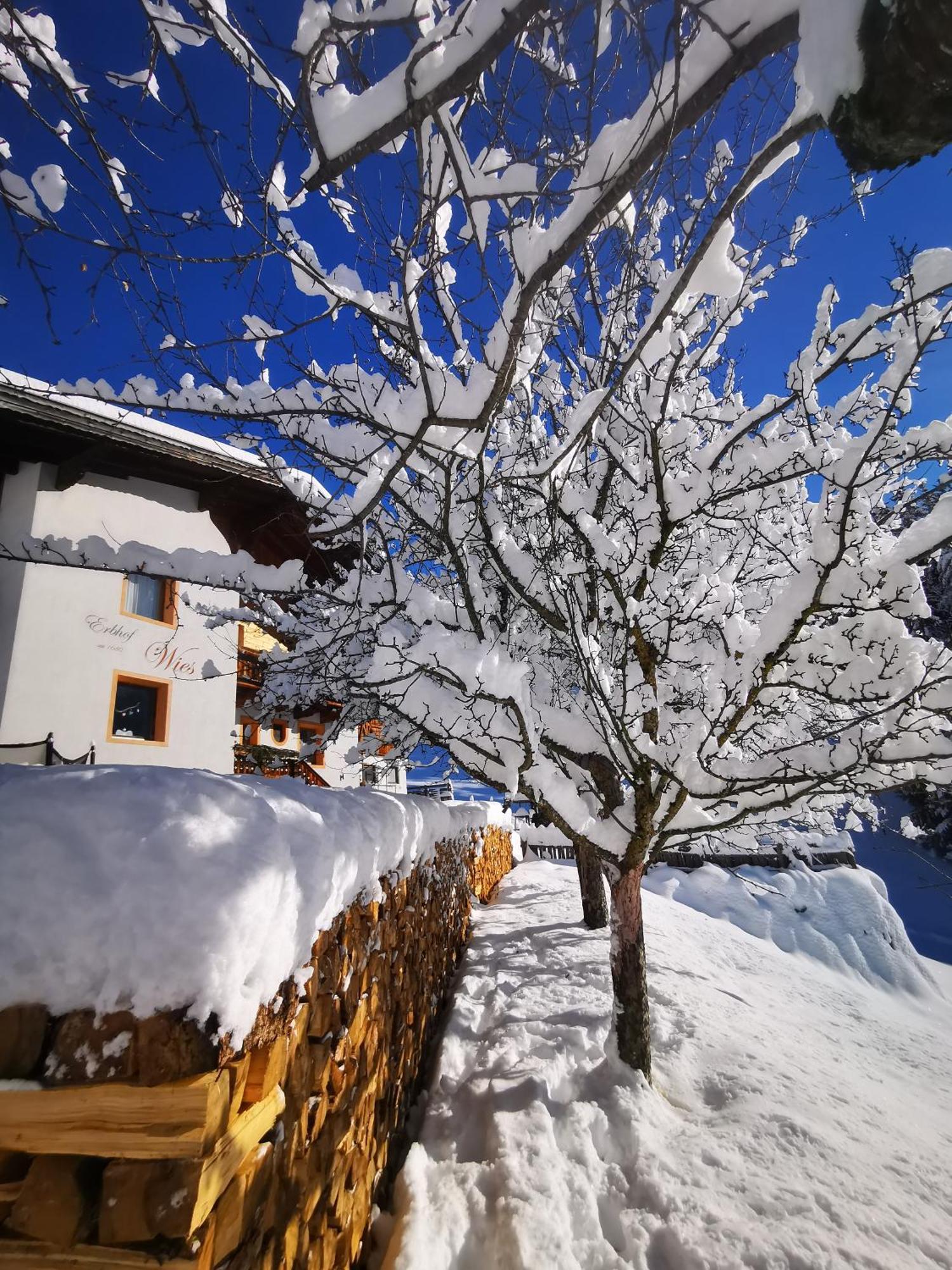 Wieserhof Tirol Oetz Exteriér fotografie